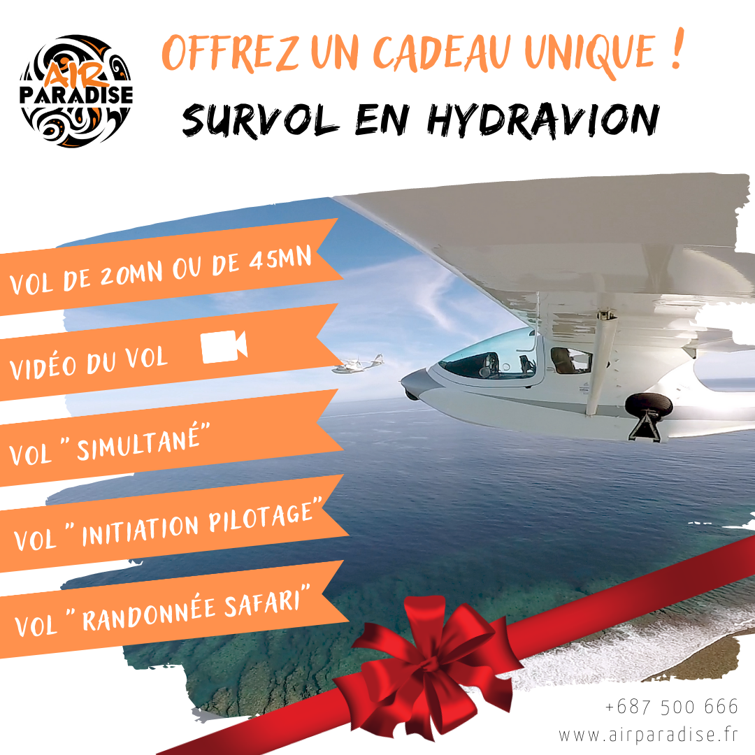 BON CADEAU VOL EN HYDRAVION